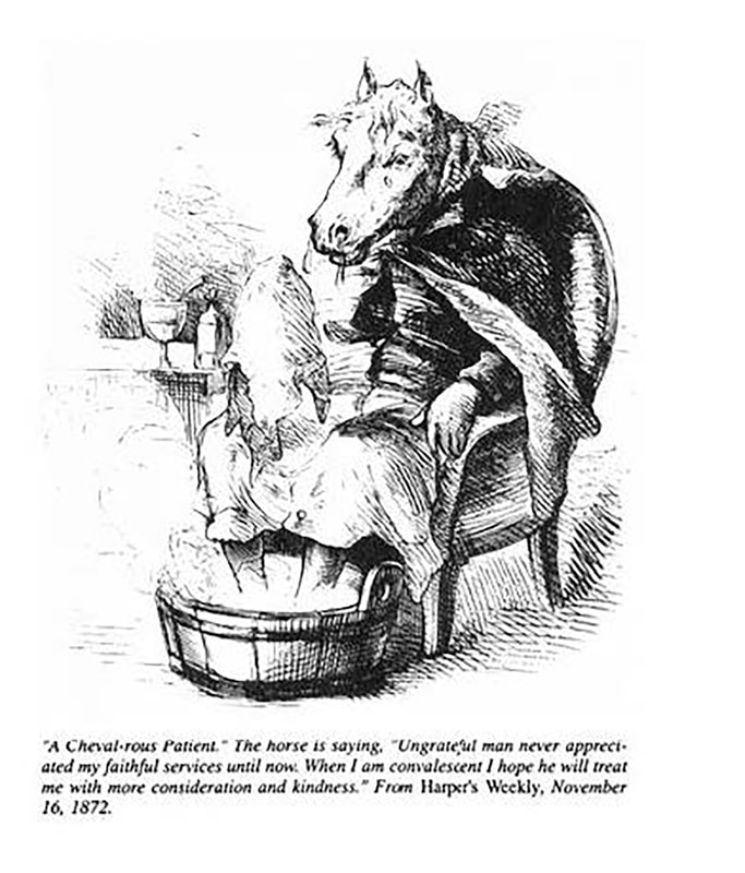 Image: a cartoon depicting a horse covered in blankets, sitting in a chair, and soaking its feet in a foot bath. 